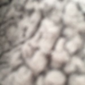 Meet your Posher, Jack